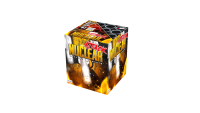 Nuclear attack