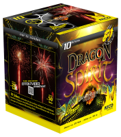 Dragon Spirit, 10 Schuss