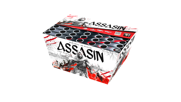 Assasin Air show