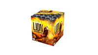 The Fire Lion
